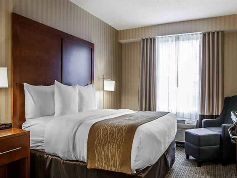 Comfort Inn & Suites Sturbridge-Brimfield المظهر الخارجي الصورة